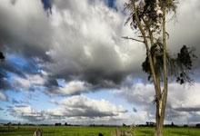 球友会官网：[图]戴维斯40+12詹姆斯再砍三双 力克马刺.