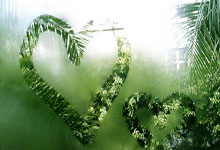 球友会官网：英超：阿斯顿维拉击败曼彻斯特市队.